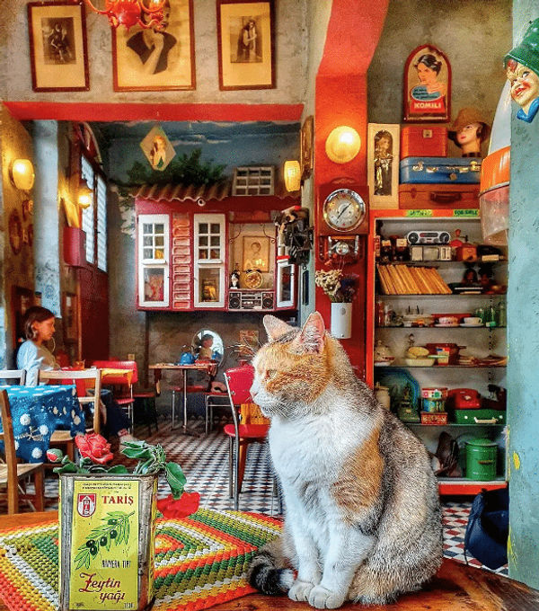 Einzigartige Kaffeespezialitäten entdecken