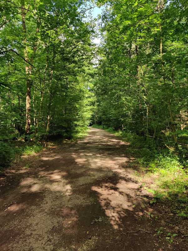 Naturerlebnis für Kids