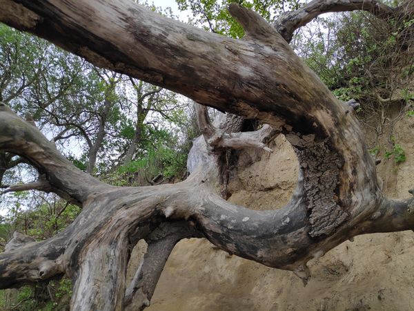 Wanderung durch malerische Natur