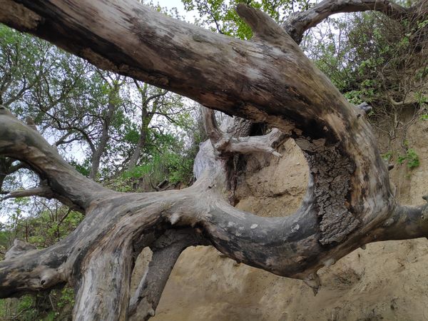 Wanderung durch malerische Natur