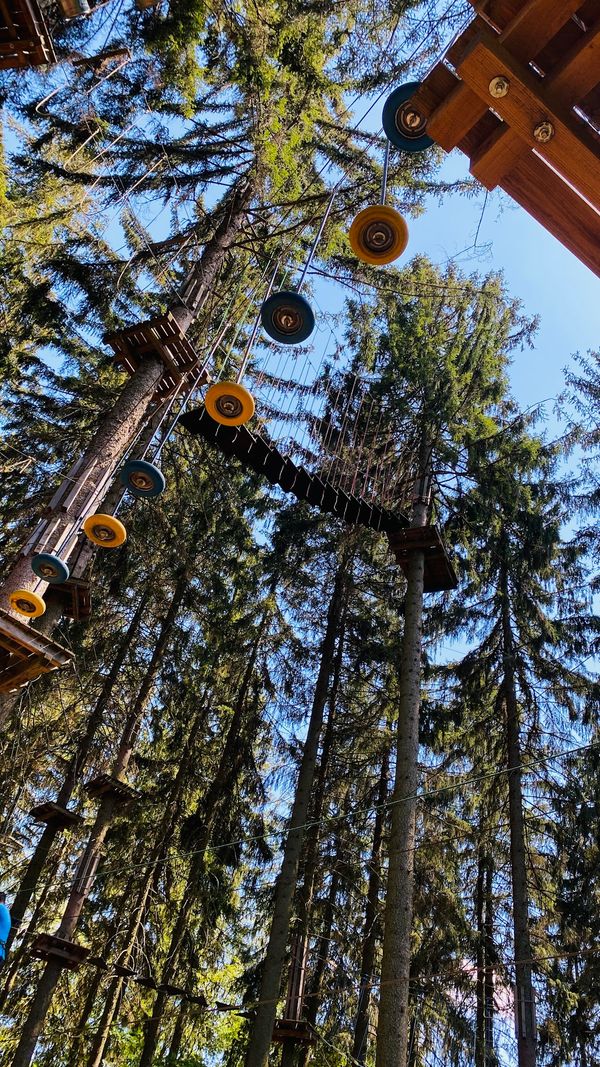 Herausforderung und Spaß im Kletterwald