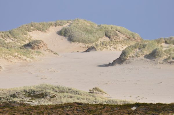 Naturwunder im Norden Sylts