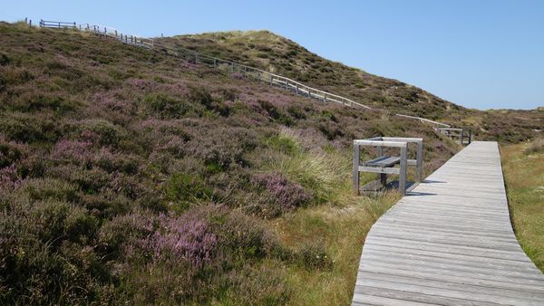 Bewegende Naturwunder auf Sylt