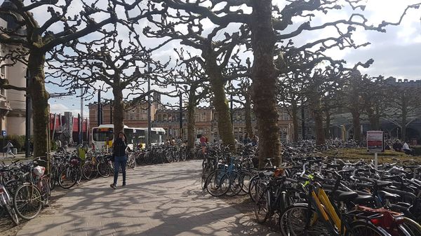 Fahrradmeer am Bahnhof bestaunen