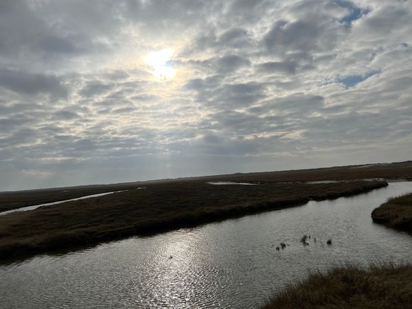 Einzigartiges Naturphänomen erleben