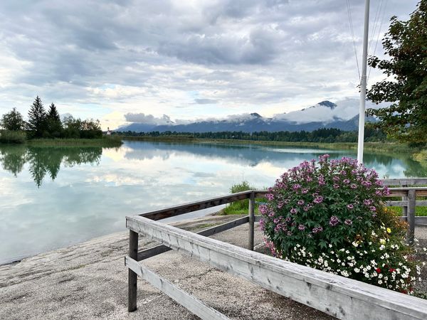 Natur pur am Ufer des Forggensees