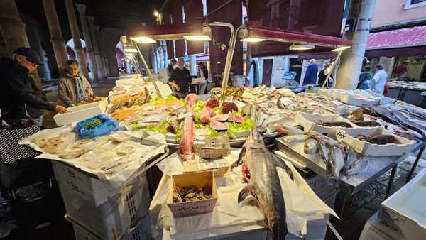 Lebhaftes Treiben und frische Delikatessen