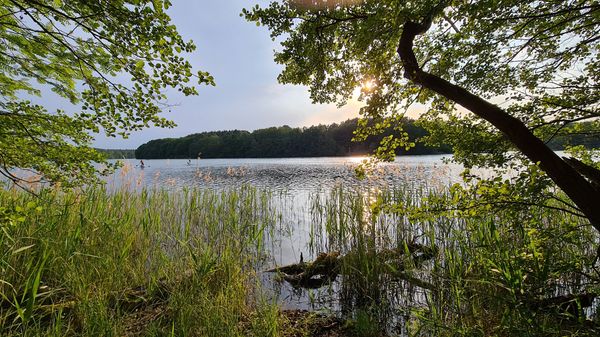 Kristallklares Wasser inmitten üppiger Wälder