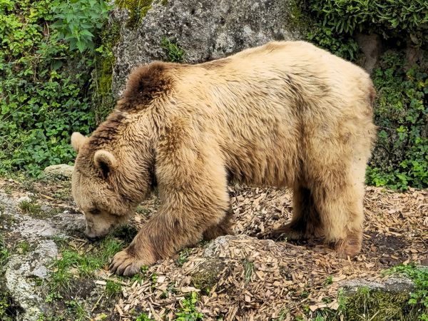 Tierisches Vergnügen für die ganze Familie