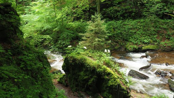 Erfrischende Wanderung entlang der Laßnitz