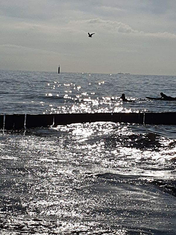 Spaziergang mit Meerblick