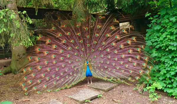 Tiere hautnah erleben