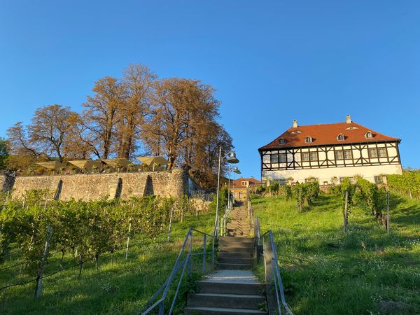 Traditioneller Weinbau erleben