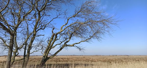 Unberührte Natur pur genießen