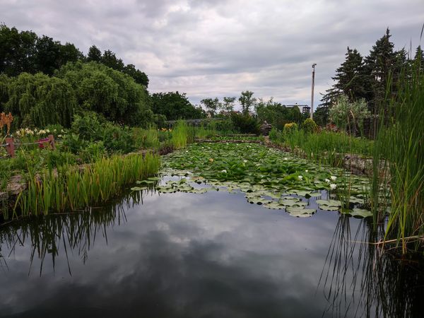 Grüne Oase mitten in Chisinau