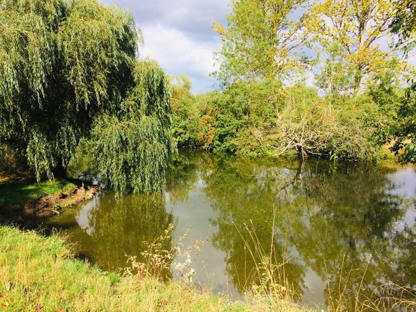 Geheimer Picknickplatz am Fluss