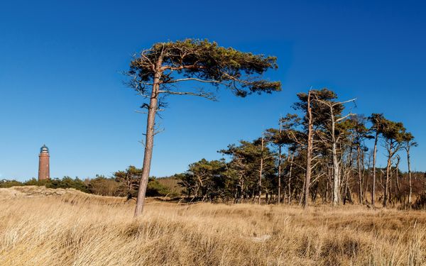 Natur pur auf dem Fahrrad entdecken