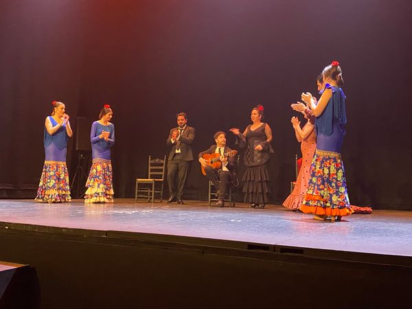 Tauche ein in die Welt des Flamencos