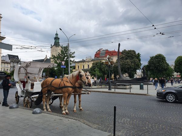 Das pulsierende Herz von Lviv