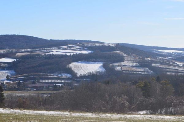 Atemberaubender Ausblick und idyllische Picknickmomente am Bründlberg