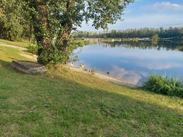 Entspannte Momente am Wasser in idyllischer Naturkulisse