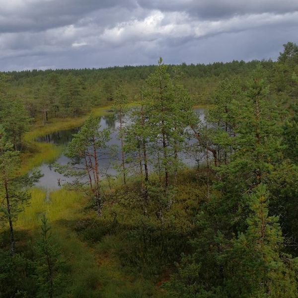 Abenteuer im Lahemaa Nationalpark