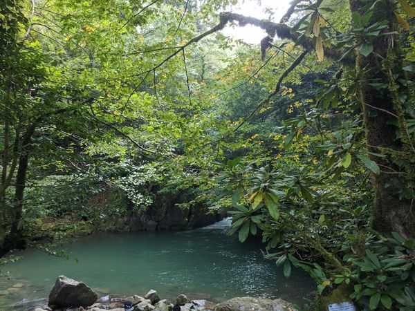 Abenteuer in Georgiens Wildnis