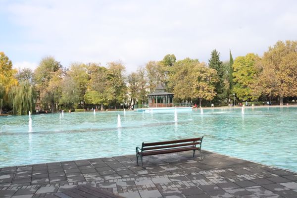 Grüne Oase in der Stadtmitte