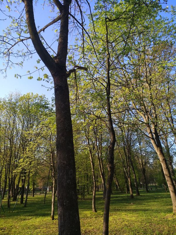 Entspannung und Spaß im Park