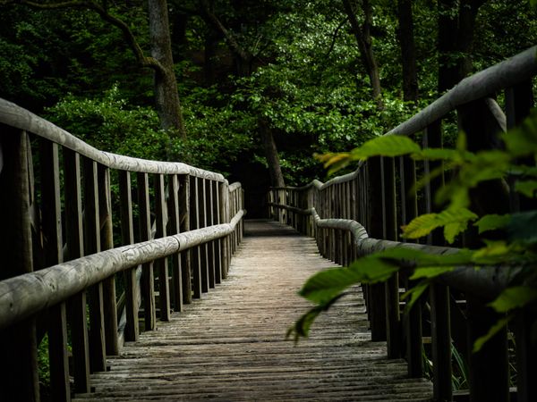 Naturwunder beim Wandern entdecken
