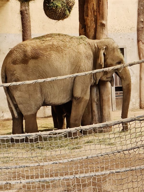 Tierische Begegnungen für Groß & Klein