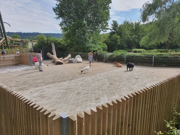 Tierische Freunde im Streichelzoo treffen