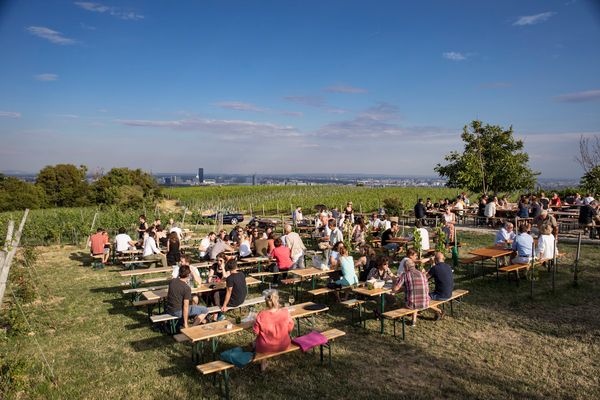 Weinverkostung mit Panoramablick über die Stadt 