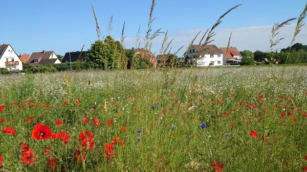 Buntes Treiben mit Musik und Spaß