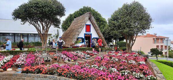 Traditionelle strohgedeckte Häuser und Natur pur