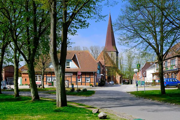 Farbenfrohes Blütenfest erleben