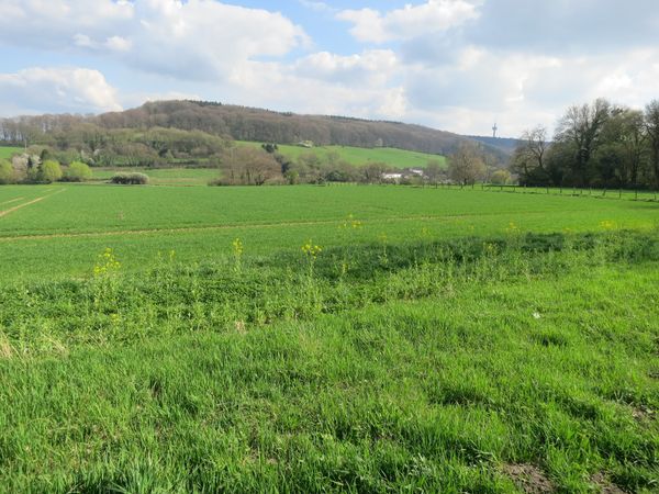 Dreiländereck mit Aussicht