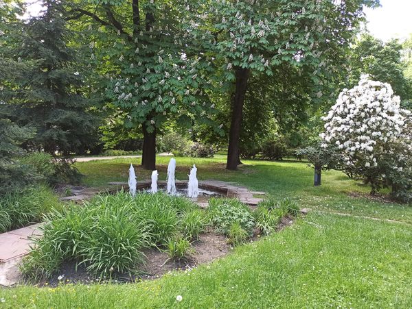 Historischer Platz im Herzen von Budweis