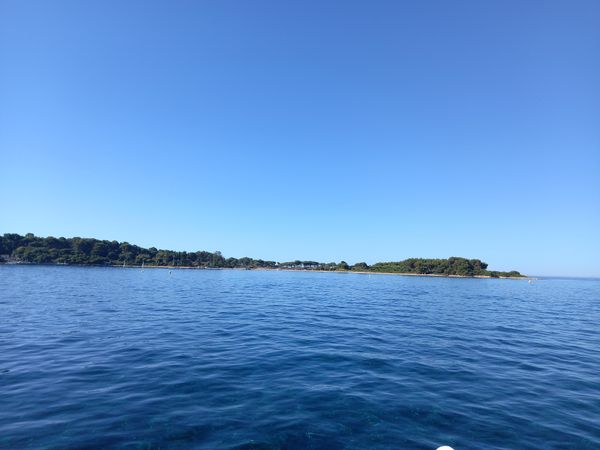 Natur pur auf einer Insel