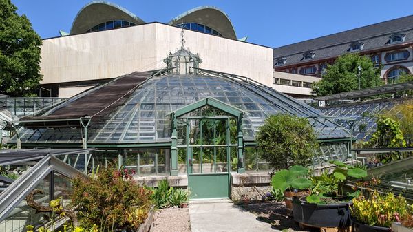 Grüne Oase in der Stadt