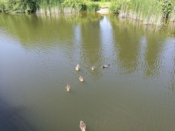 Atemberaubende Aussicht von einem Gasbehälter