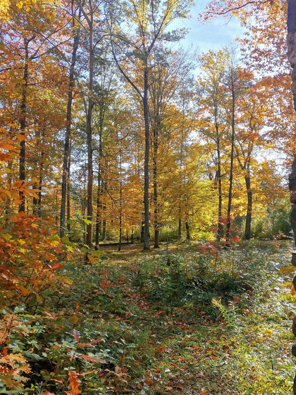 Natur pur am Stadtrand