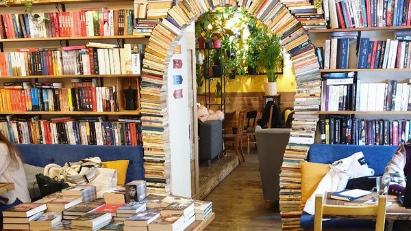 Tauche ein in eine Welt aus Büchern