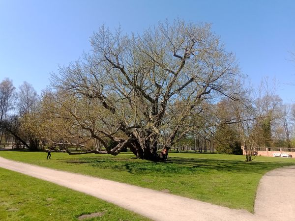 Historische Gärten mit königlichem Flair