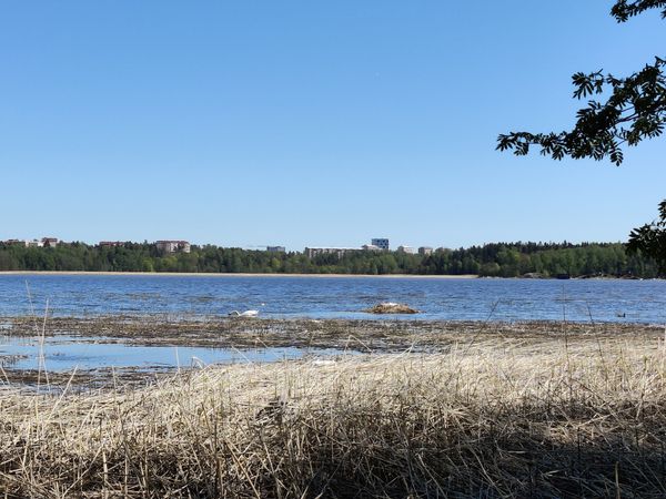 Naturparadies mitten in Helsinki