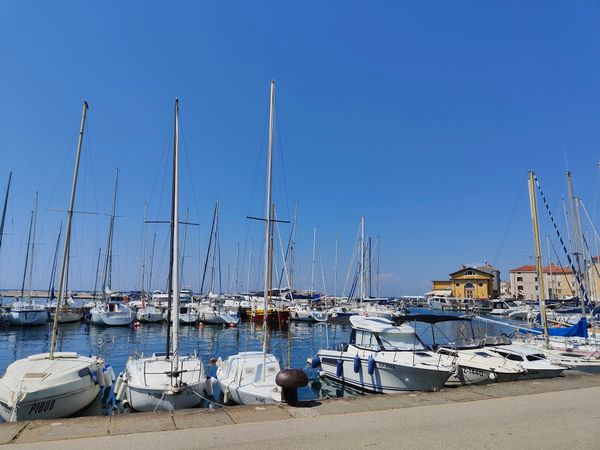 Frischer Fisch am Hafen