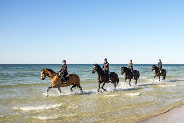 Reitabenteuer am Meer