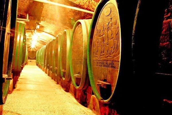 700 Jahre Weintradition entdecken