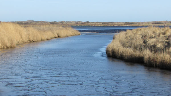 Naturschutzgebiet mit reicher Vogelwelt