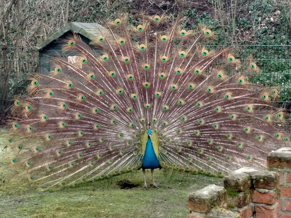 Tierische Entdeckungen im Schlosspark